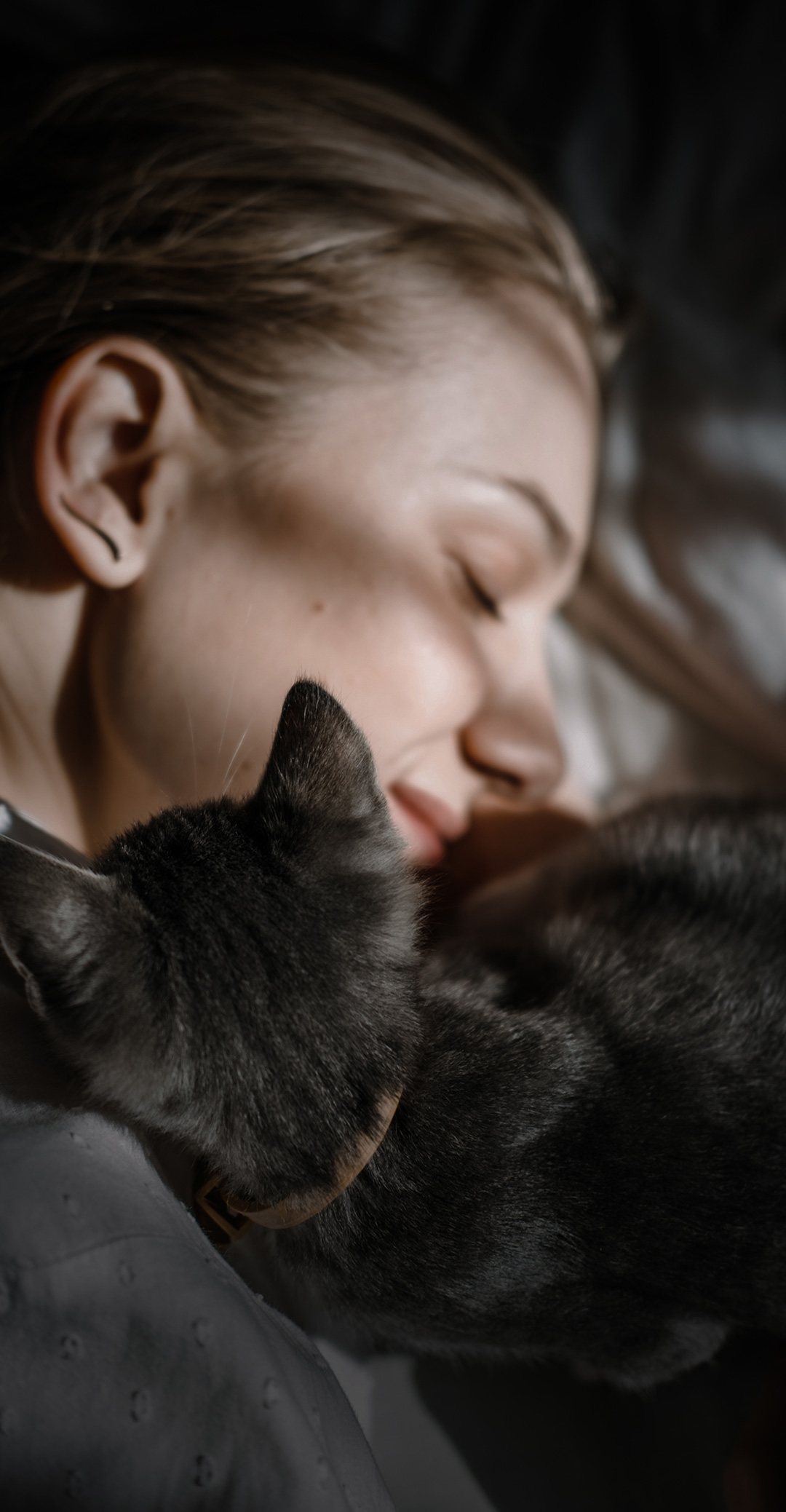 Transparency & Trust