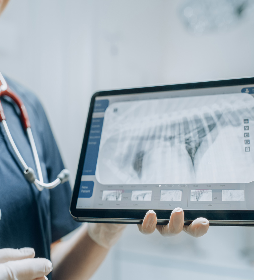 General & Preventive Care